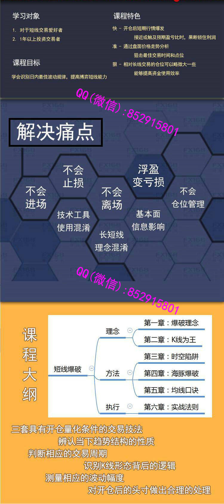 daichong3.jpg